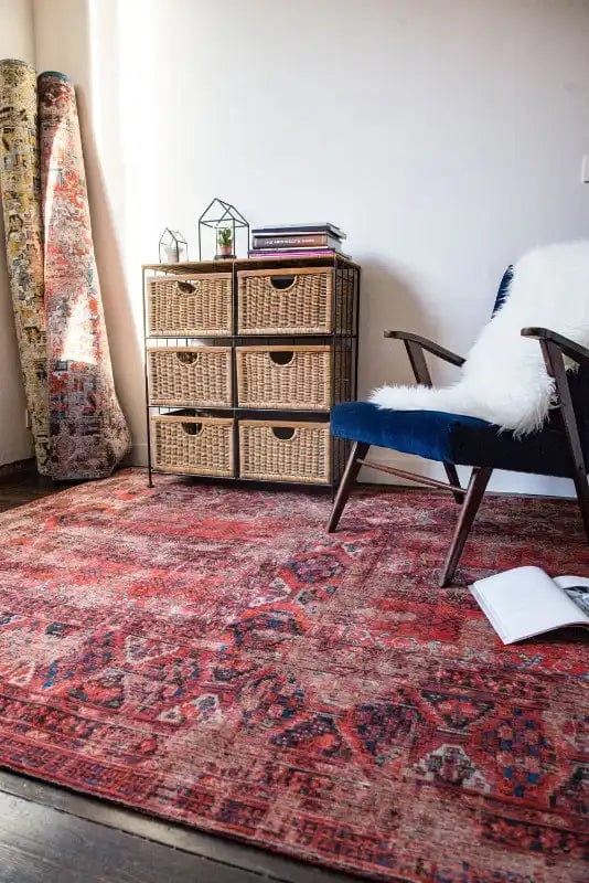 Antique Hadschlu 8719 Red Rugs