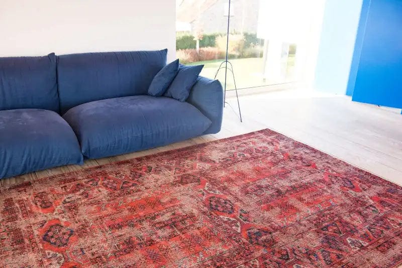 Antique Hadschlu 8719 Red Rugs - Image 7
