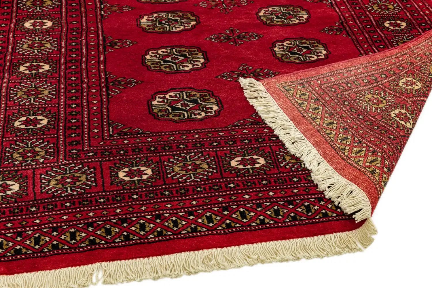 bokhara red - Image 3