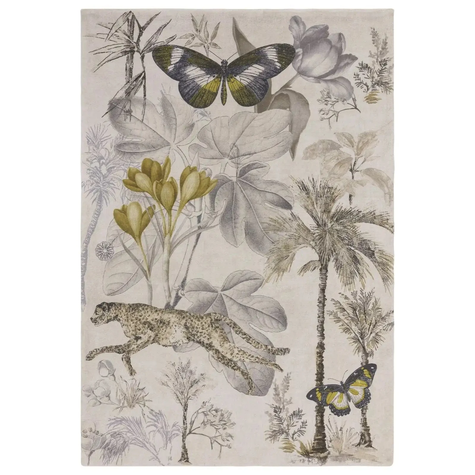 Botany CC Botany - Image 2