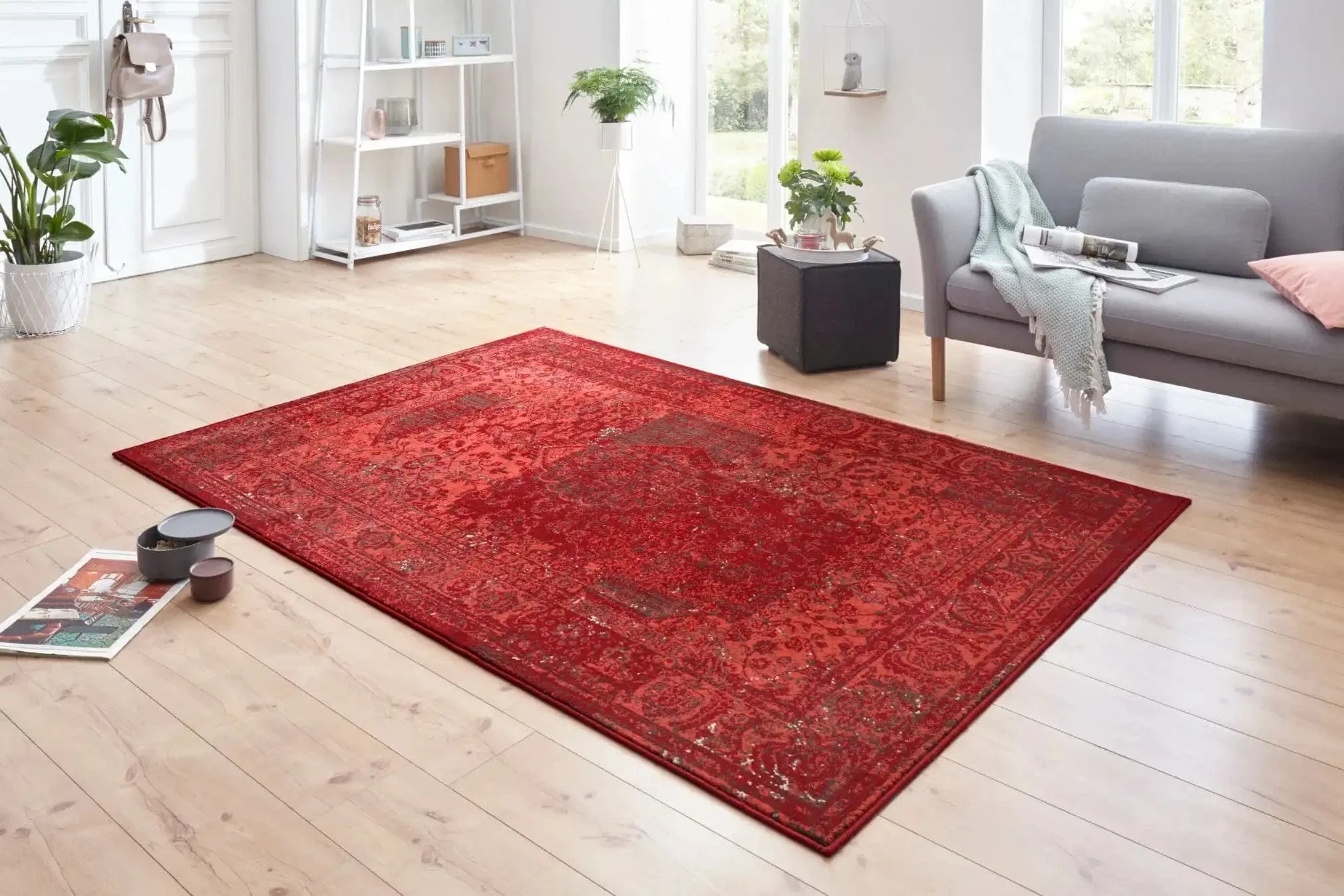 Celebration Plume Red 103467 Rug