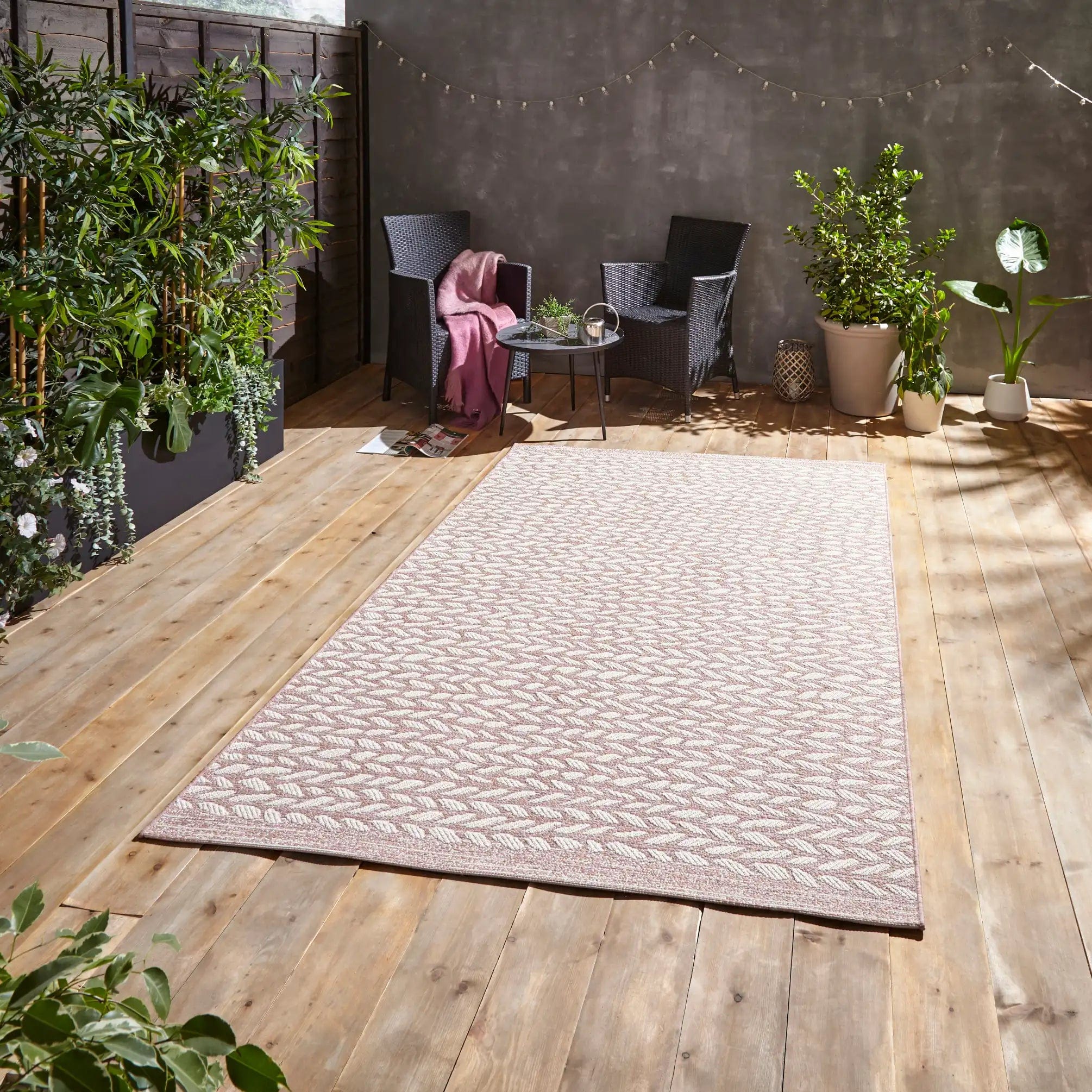 Coast- Think A055 Rose Cream