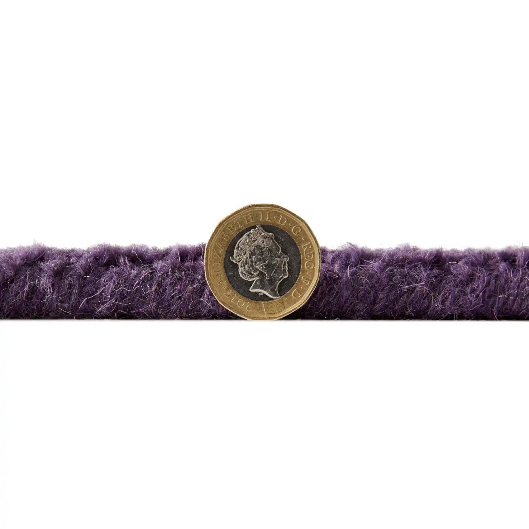Colours Purple - Image 5