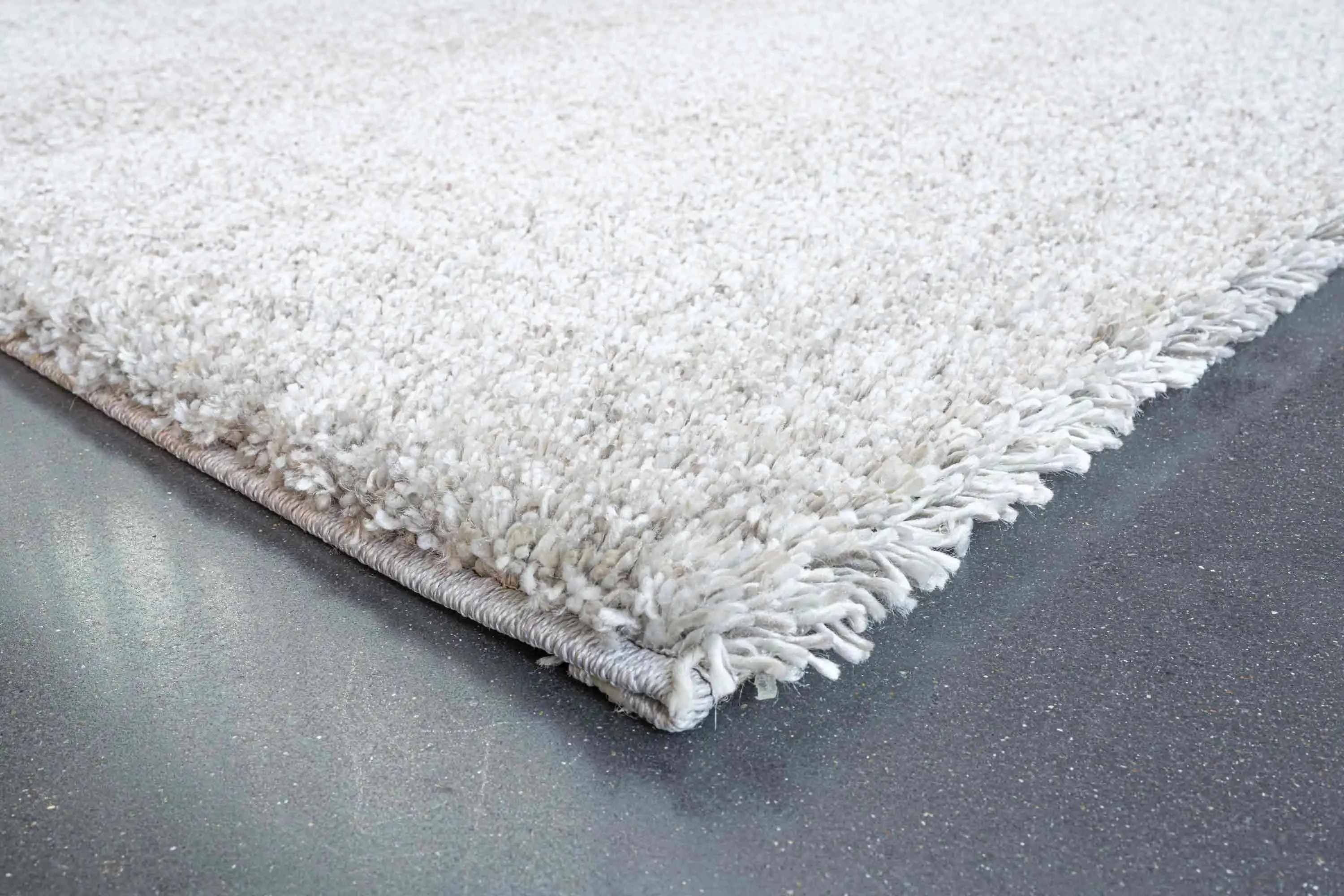 Coral 24001 2252 - Image 4