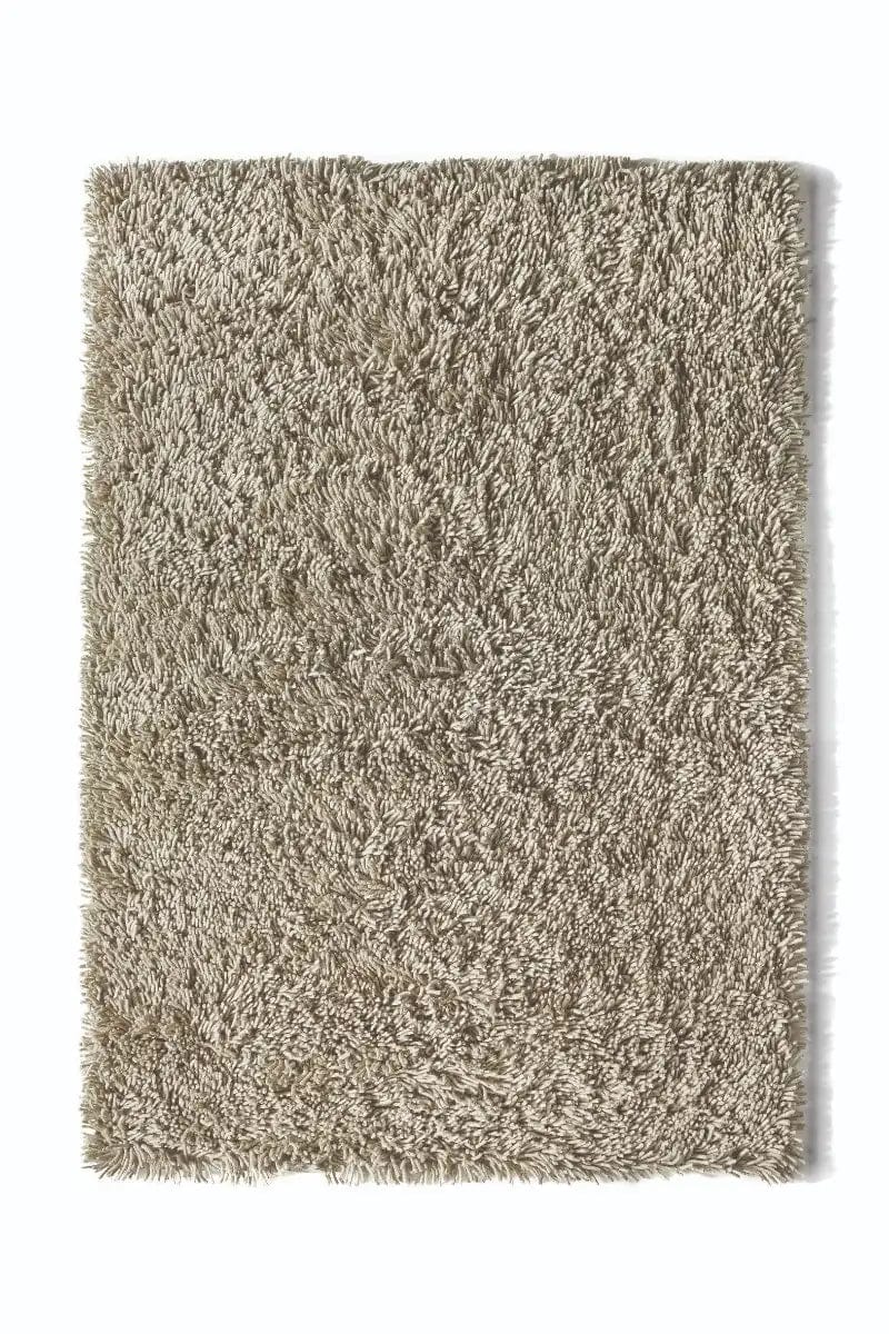 Imperial Oyster - Image 4
