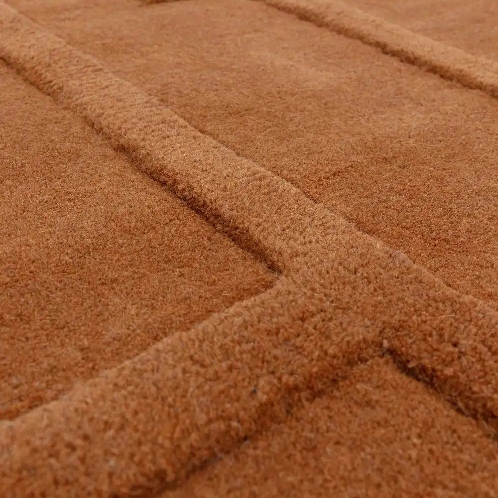 Maze Asiatic Rust - Image 2