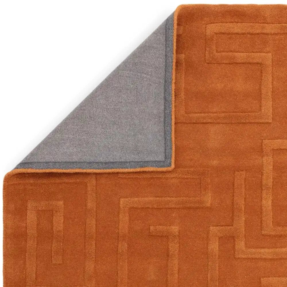 Maze Asiatic Rust - Image 3