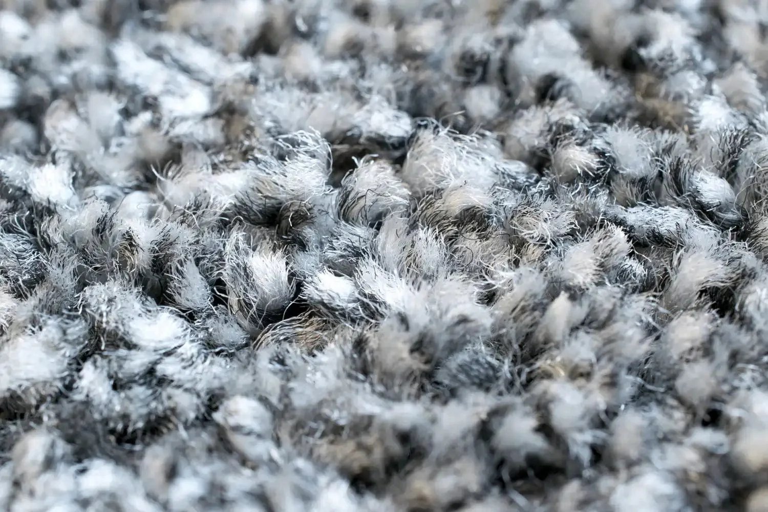 Mehari 023 0001 4248 - Image 3