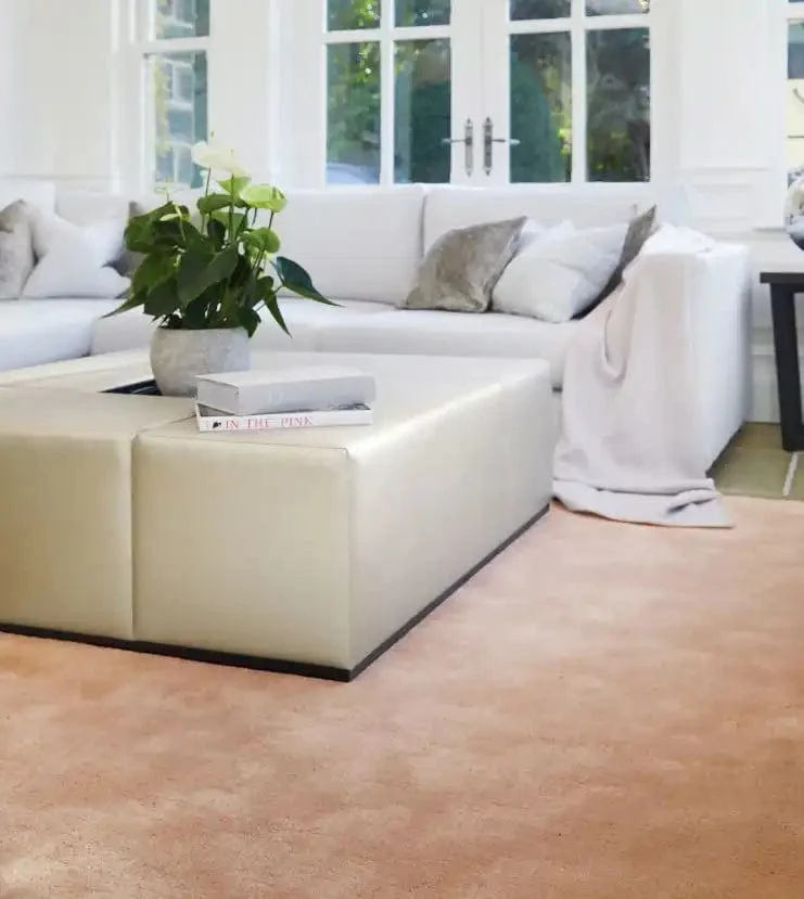 Rug Guru Hush Blush - Image 3